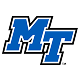 Blue Raiders